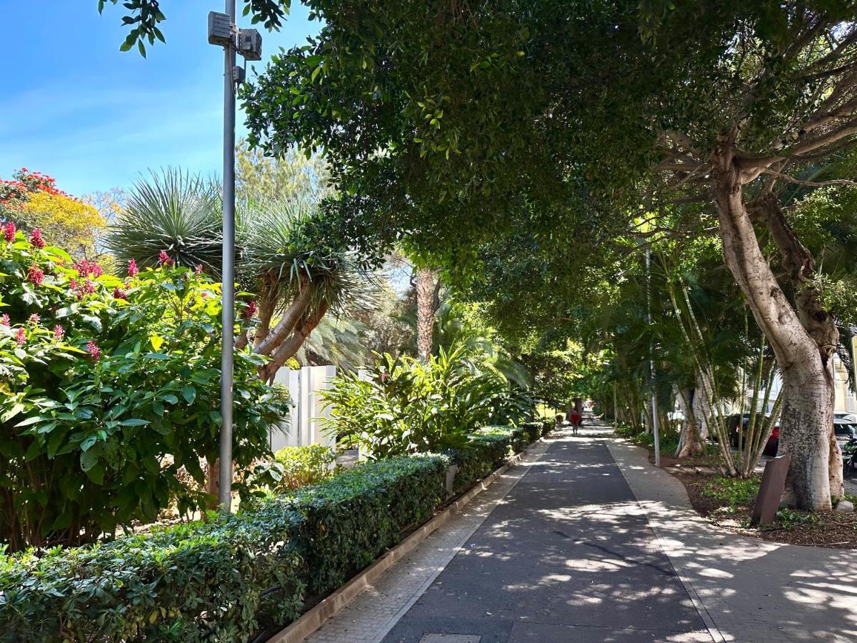 Ferienwohnung Centrico Y Moderno Junto Al Parque Santa Cruz de Tenerife Exterior foto